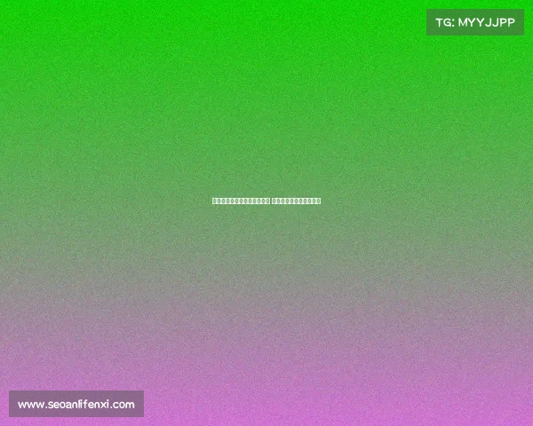 法甲主教练带领球队突破困境 探索战术革新与未来方向