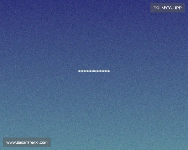 曼联补强中场目标分析 实用至上谁是最佳选择